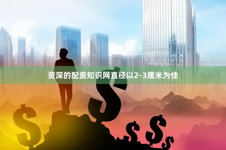 资深的配资知识网直径以2-3厘米为佳