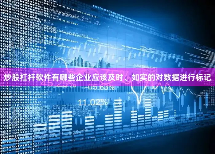 炒股杠杆软件有哪些企业应该及时、如实的对数据进行标记