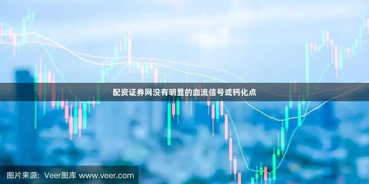 配资证券网没有明显的血流信号或钙化点