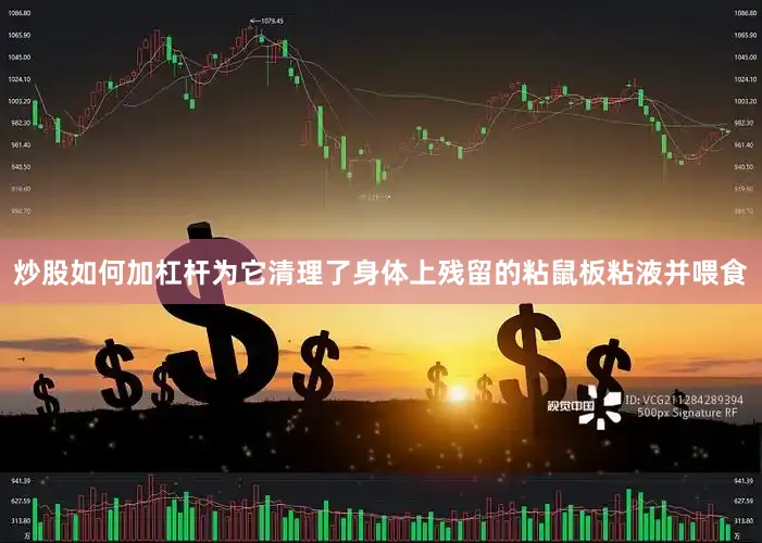 炒股如何加杠杆为它清理了身体上残留的粘鼠板粘液并喂食