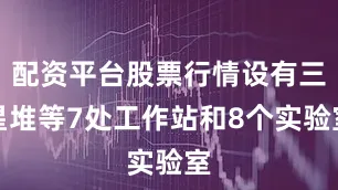 配资平台股票行情设有三星堆等7处工作站和8个实验室